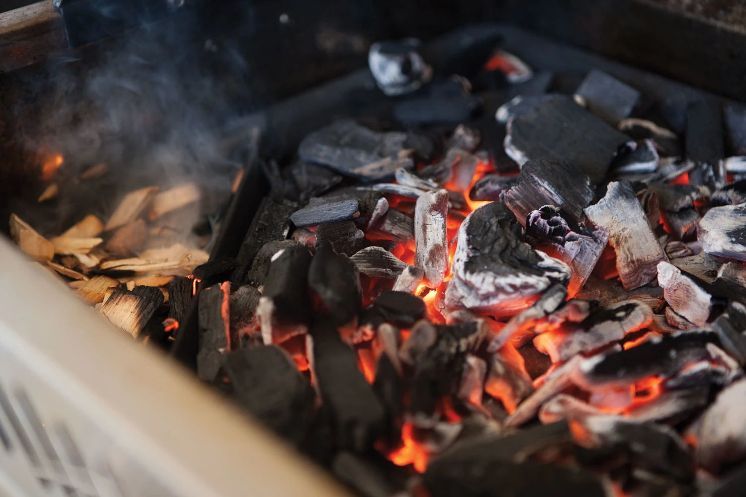 Napoleon Gietijzeren Houtskoolinzet 4 Napoleon Gietijzeren Houtskoolinzet - Image 2